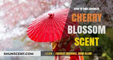 Discovering the Delicate Japanese Cherry Blossom Scent: A Fragrant Journey