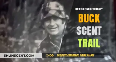 Mastering the Art of Tracking: Discovering Legendary Buck Scent Trails