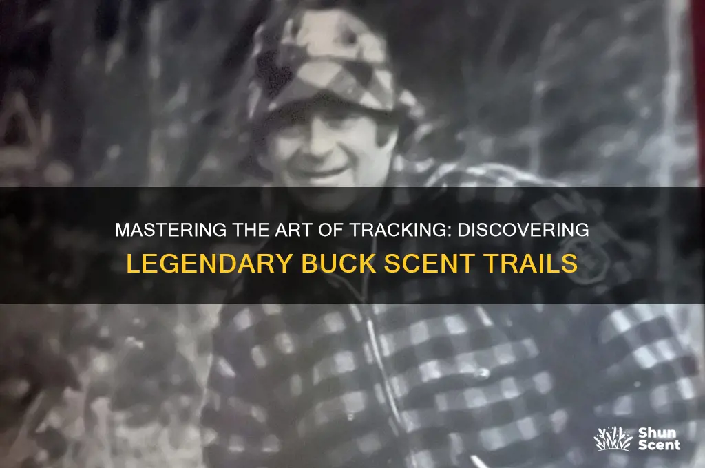 how to find legendary buck scent trail