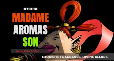 Finding Madame Aroma's Son: A Guide to Success