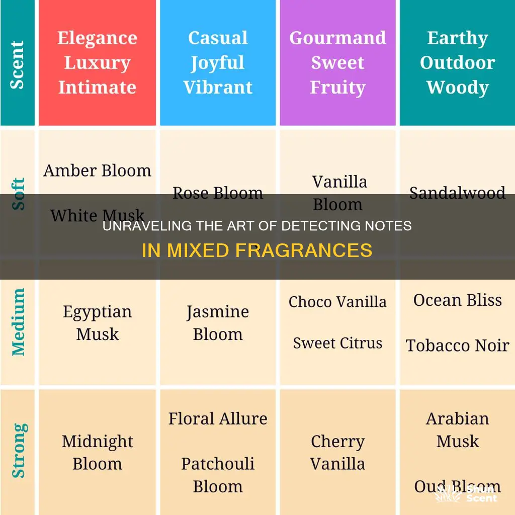 how to find notesin mixed fragrances