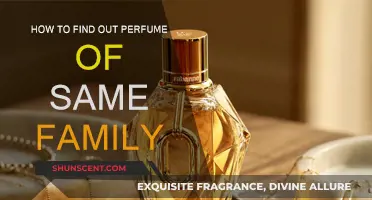 Exploring the Art of Recognizing Perfume Families