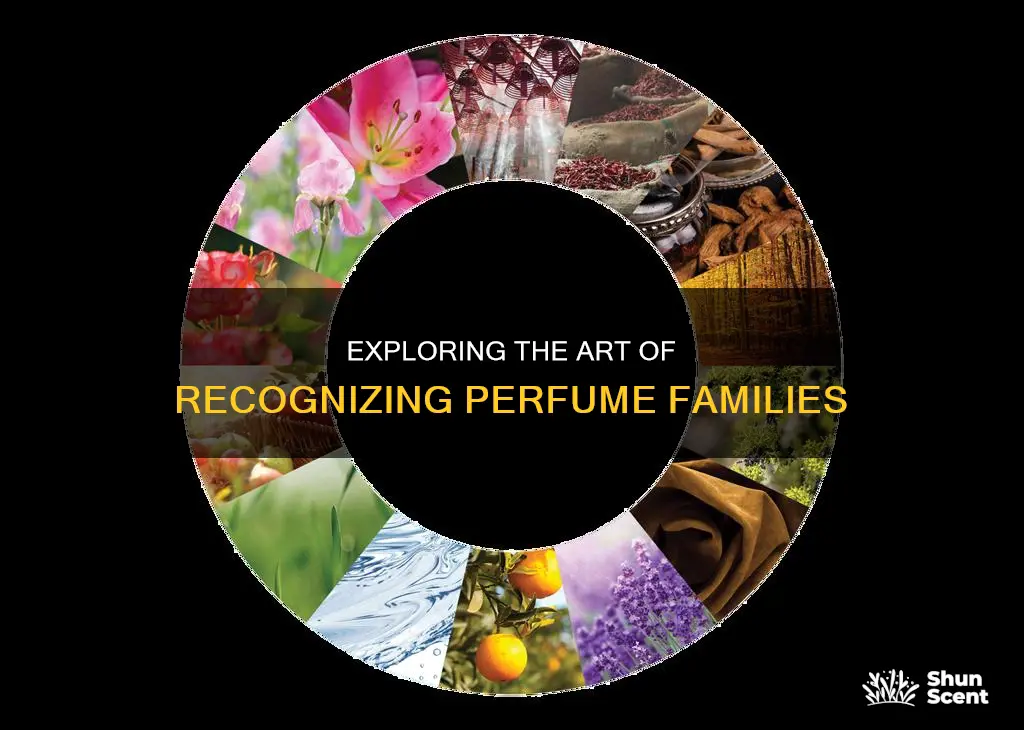 how to find out perfume of same family