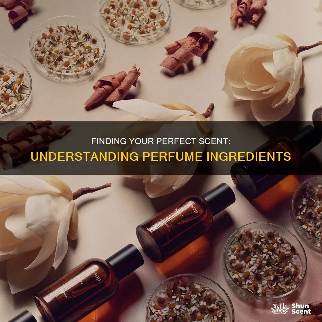 how to find perfume based on ingredients