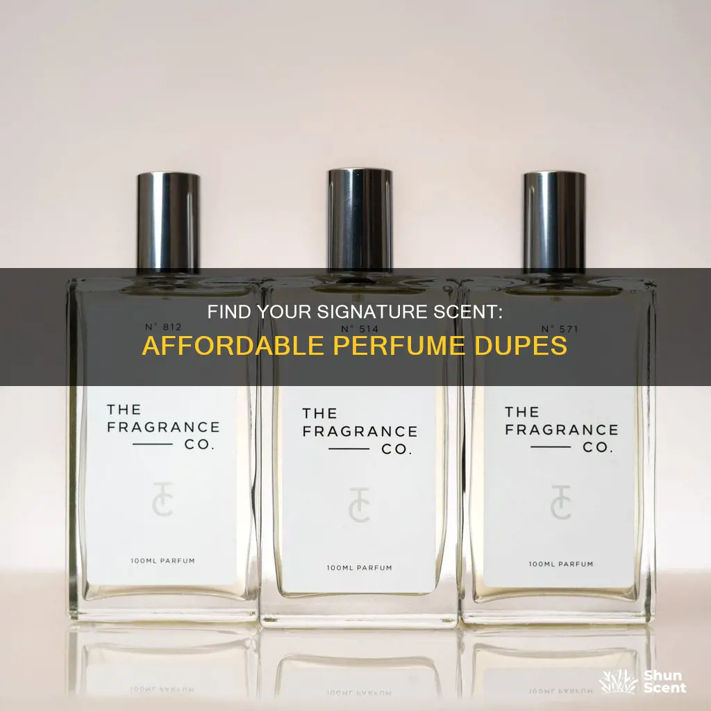 how to find perfume dupes