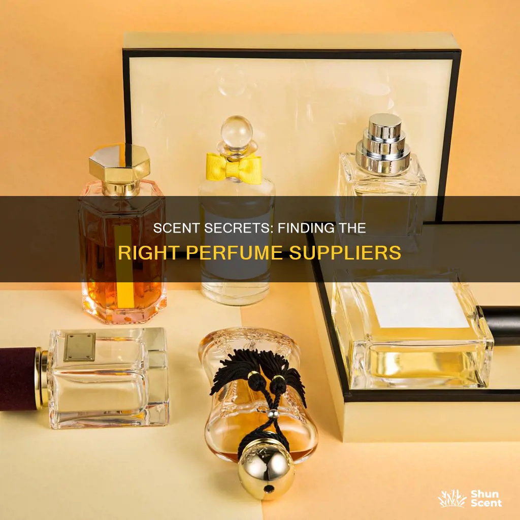how to find perfume suppliers
