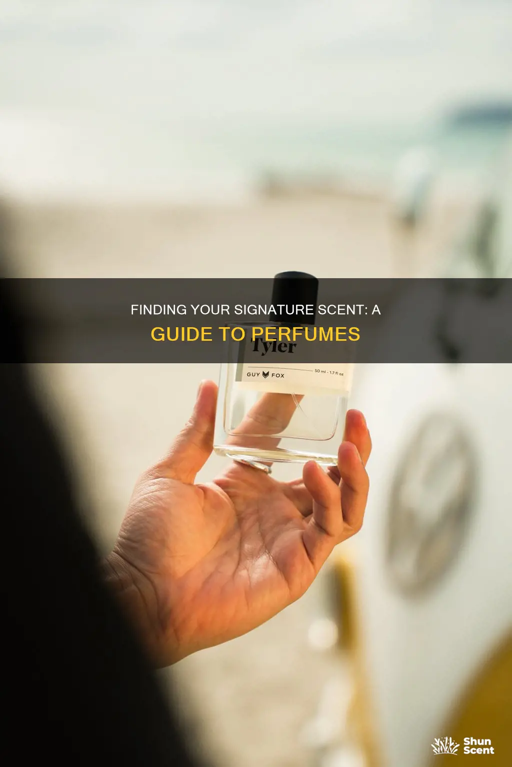 how to find perfume you like