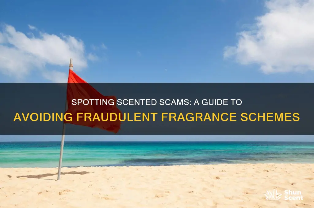 how to find scented con games