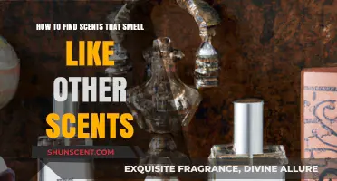 Discovering Scent Twins: How to Find Fragrances That Mimic Others