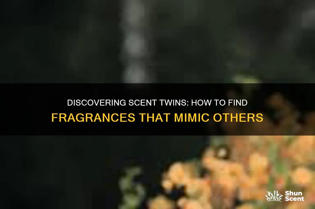 how to find scents that smell like other scents