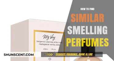 Discovering Similar Scents: A Guide to Finding Fragrance Twins