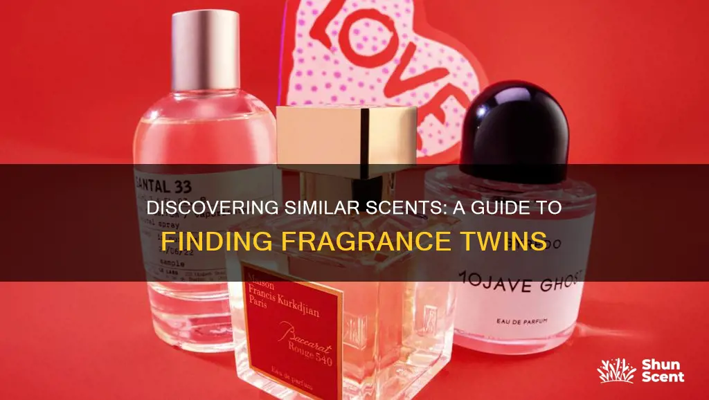 how to find similar smelling perfumes