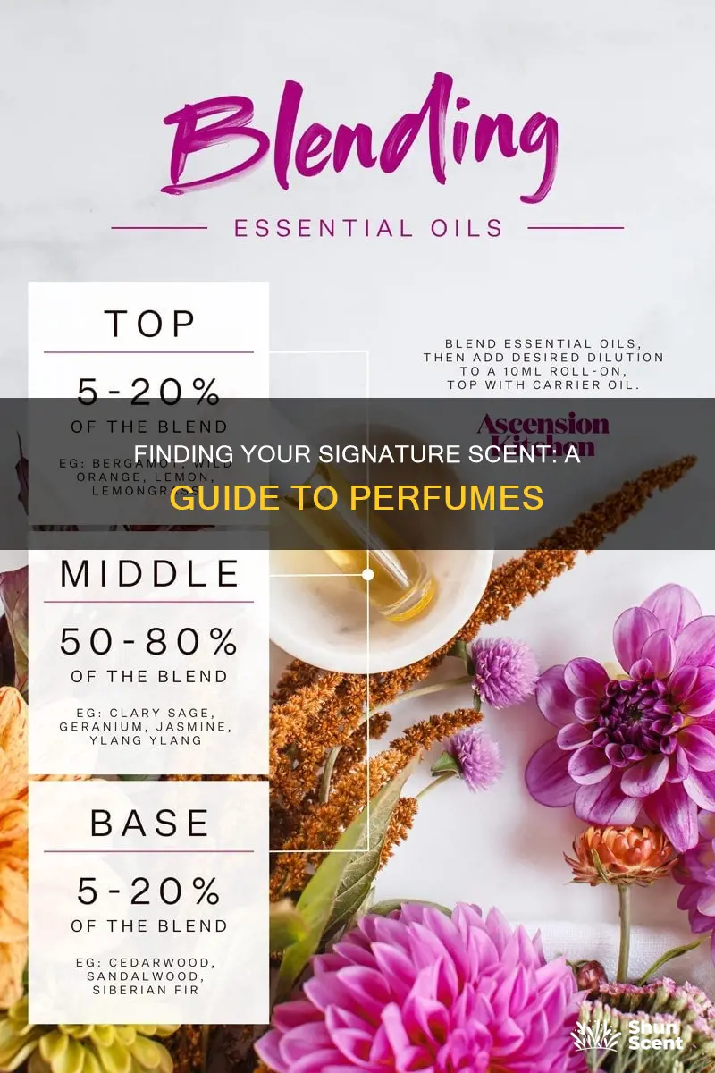 how to find the best perfume for you