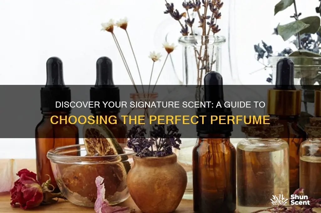 how to find the best perfume for your scent