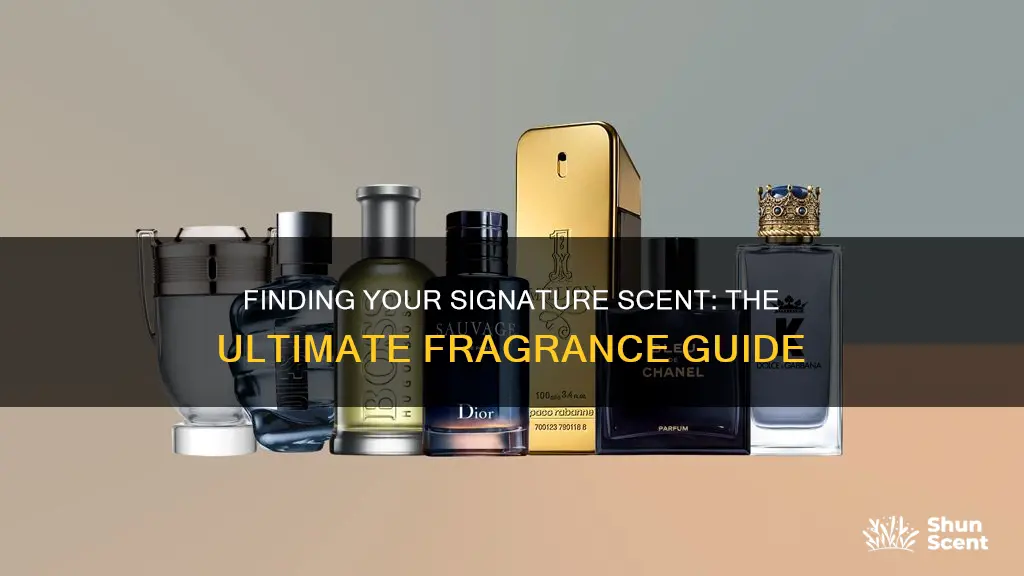 how to find the perfect cologne for your fragrance