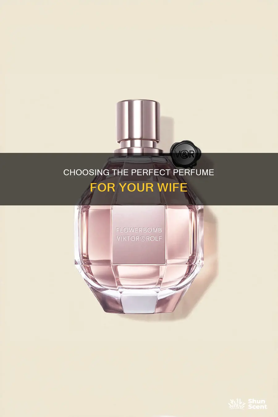 how to find the right perfume for your wife