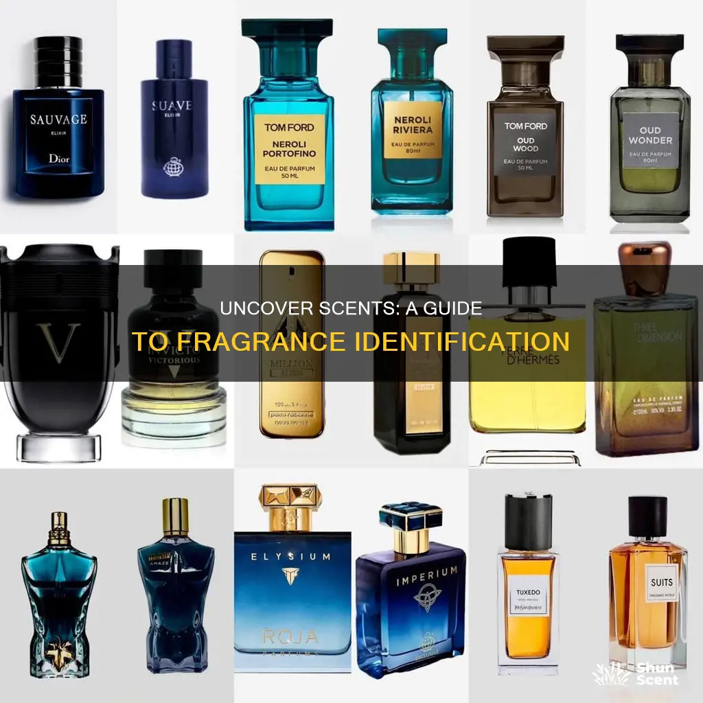 how to find what fragrance smell like