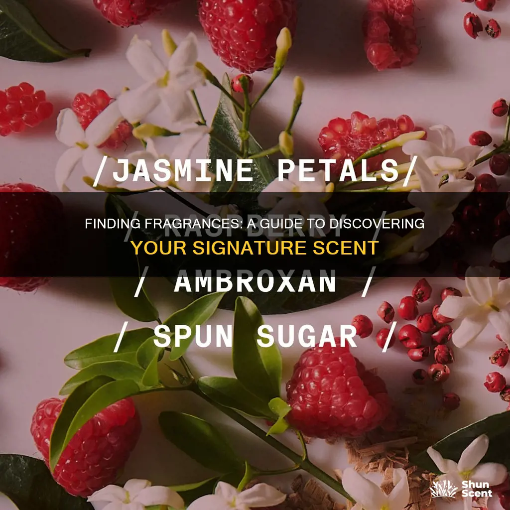 how to find what fragrance smell like