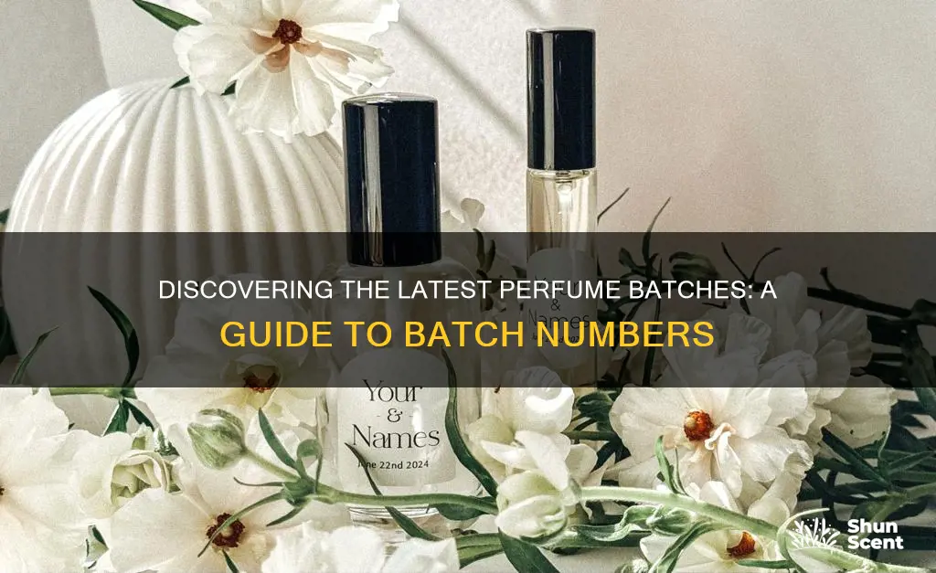 how to find what tge latest perfume batchnumbers are