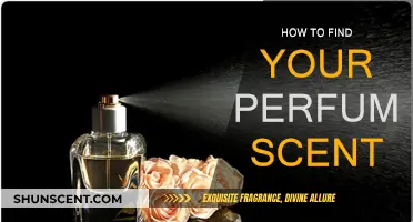 Finding Your Signature Scent: A Guide to Fragrances