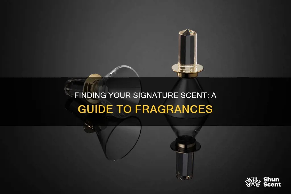 how to find your perfume scent