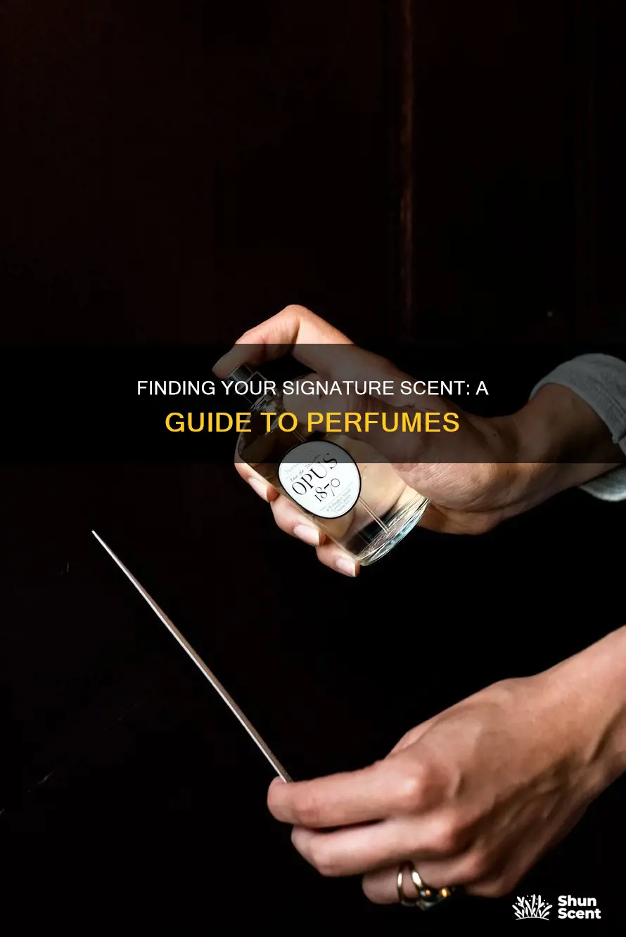 how to find your signature perfume