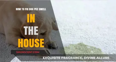 Eliminating Dog Pee Odor: A Comprehensive Guide for Pet Owners