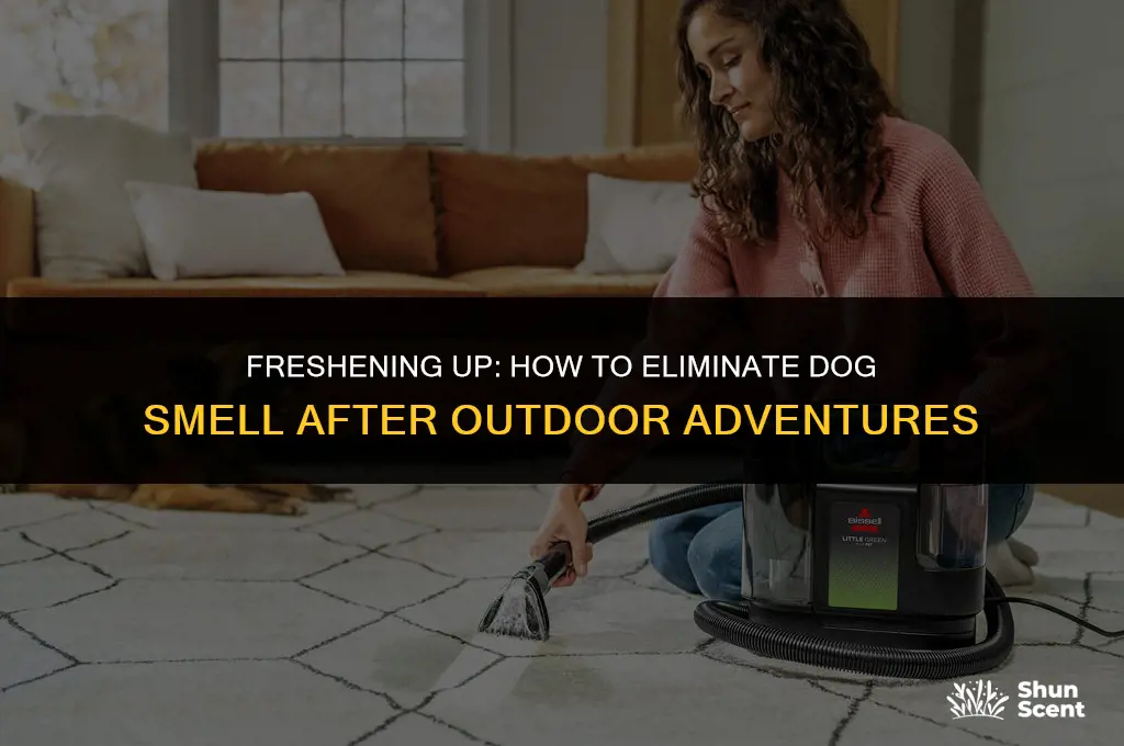 how to fix dog smell after going outside