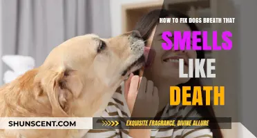 Revive Your Pup's Breath: Say Goodbye to That Dreaded Odor!