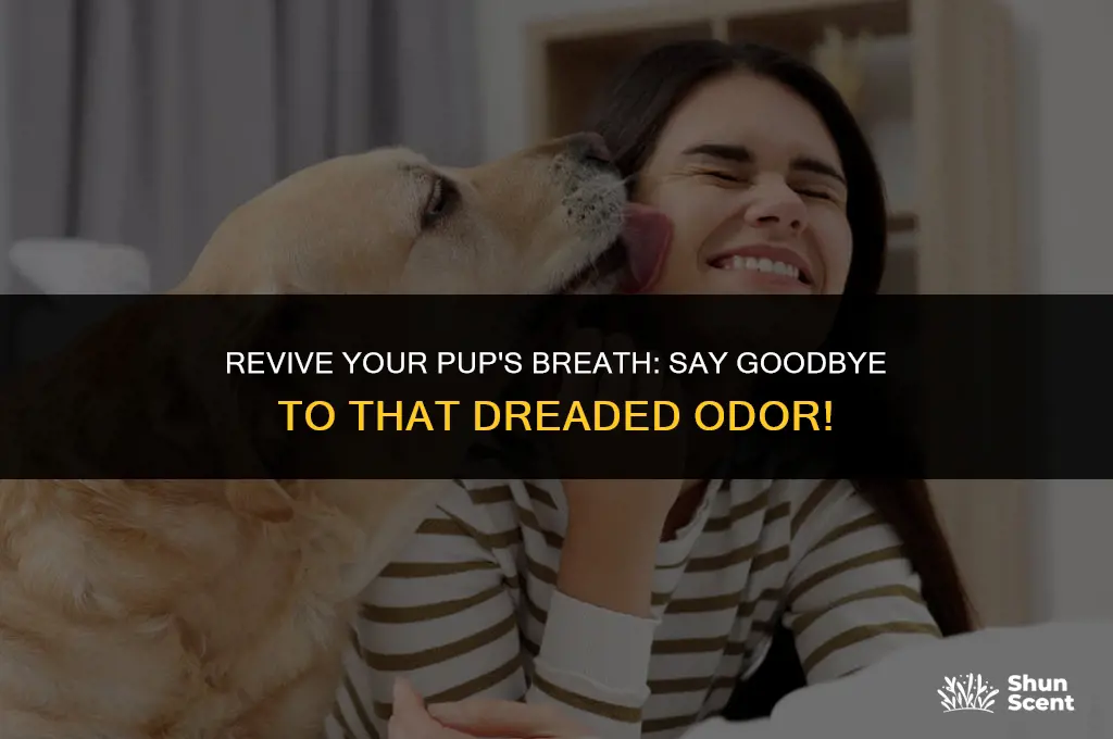 how to fix dogs breath that smells like death