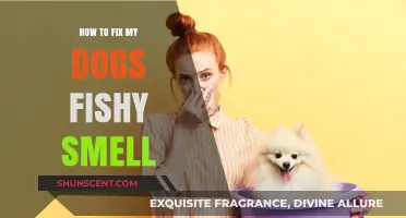 Banishing the Fishy Odor: A Guide to Freshening Up Your Dog