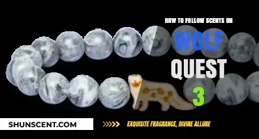 Mastering Scent Tracking: A Wolf Quest 3 Guide to Following Scents