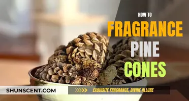 Fragrant Pine Cones: DIY Scented Decor for Your Home