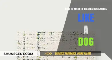 Revive Your Rug: Effective Tips to Eliminate Dog Odors