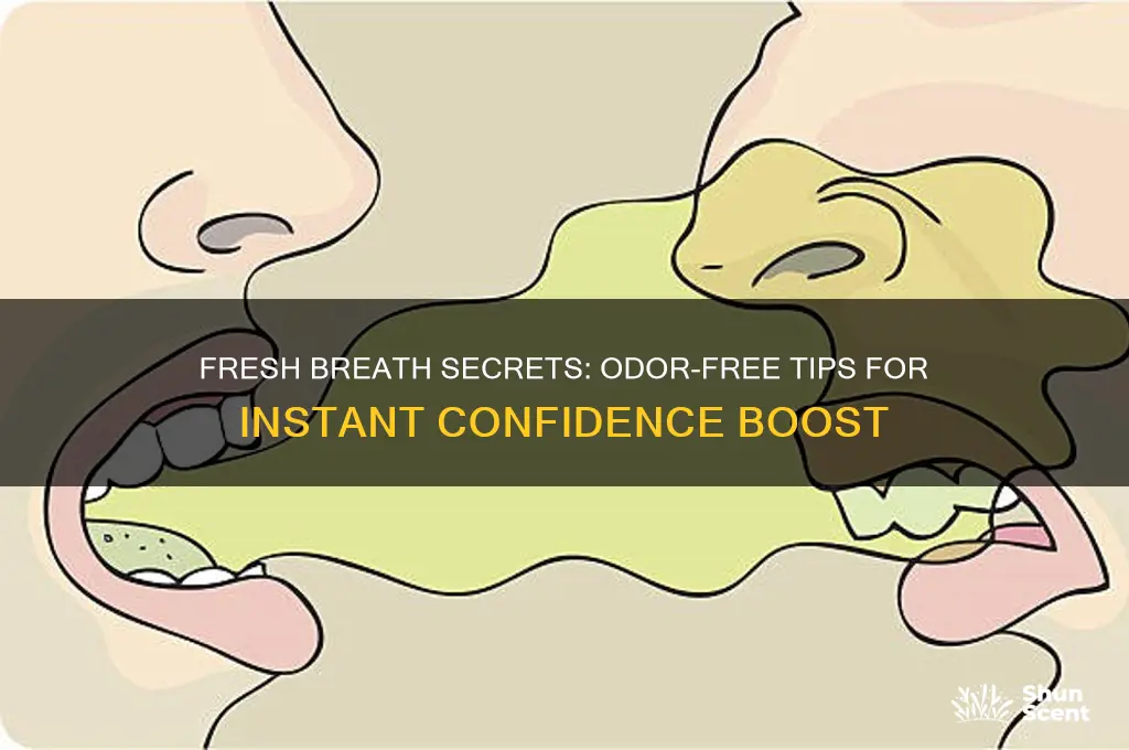 how to freshen breath without scent