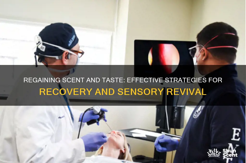 how to gain scent and taste back
