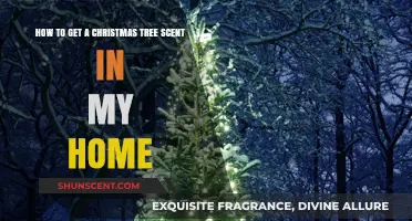 Festive Fragrance Guide: Bring Christmas Tree Scents into Your Home