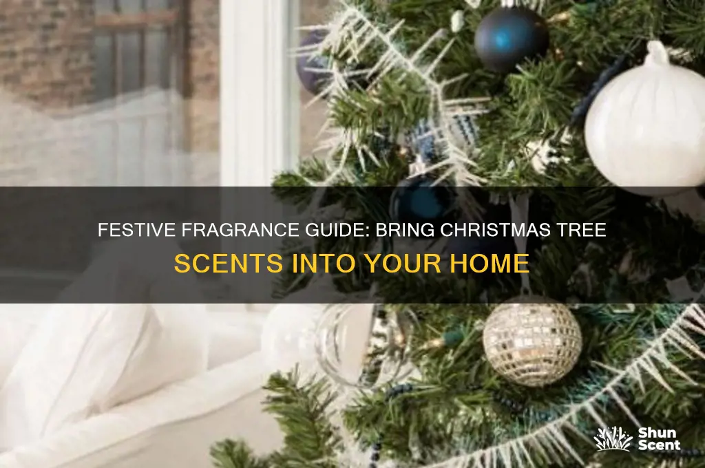 how to get a christmas tree scent in my home