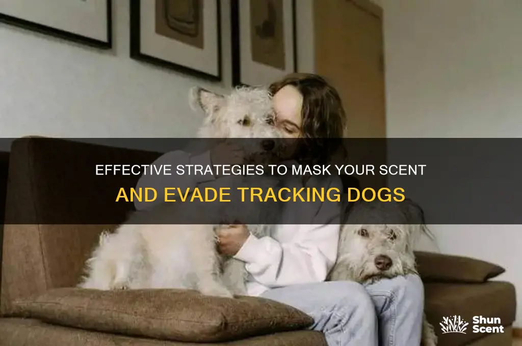 how to get a dog off your scent