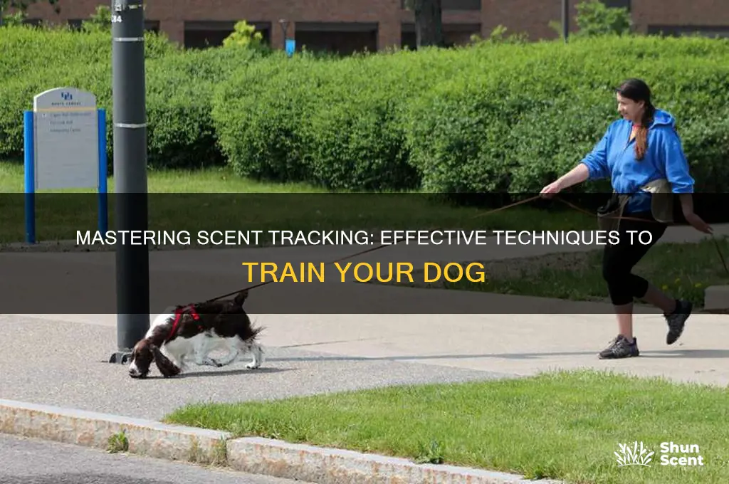 how to get a dog to track a scent