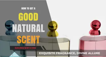 Natural Scent Secrets: Simple Tips for Fresh, All-Day Fragrance