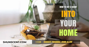 Freshen Your Space: Simple Ways to Infuse Scents into Your Home