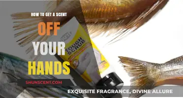 Quick Fixes to Remove Lingering Scents from Your Hands Easily
