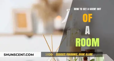 Effective Ways to Eliminate Lingering Odors from Any Room Quickly