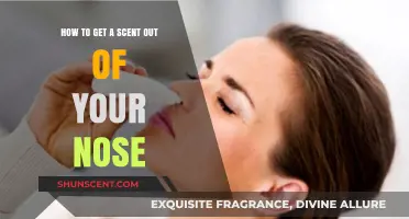 Quick Fixes to Eliminate Lingering Scents from Your Nose