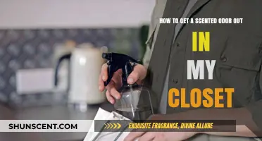 Freshen Your Closet: Effective Tips to Eliminate Lingering Scents Fast