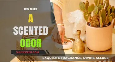Discover Simple Ways to Create a Delightful Scented Odor at Home
