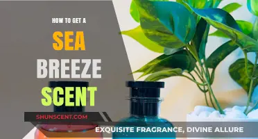 Capture the Ocean's Essence: Crafting a Refreshing Sea Breeze Scent