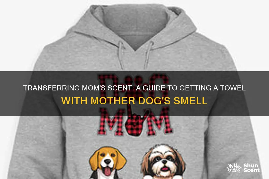 how to get a towel with a mother dogs scent