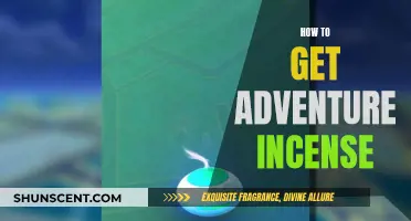 Exploring Ways to Get Adventure Incense